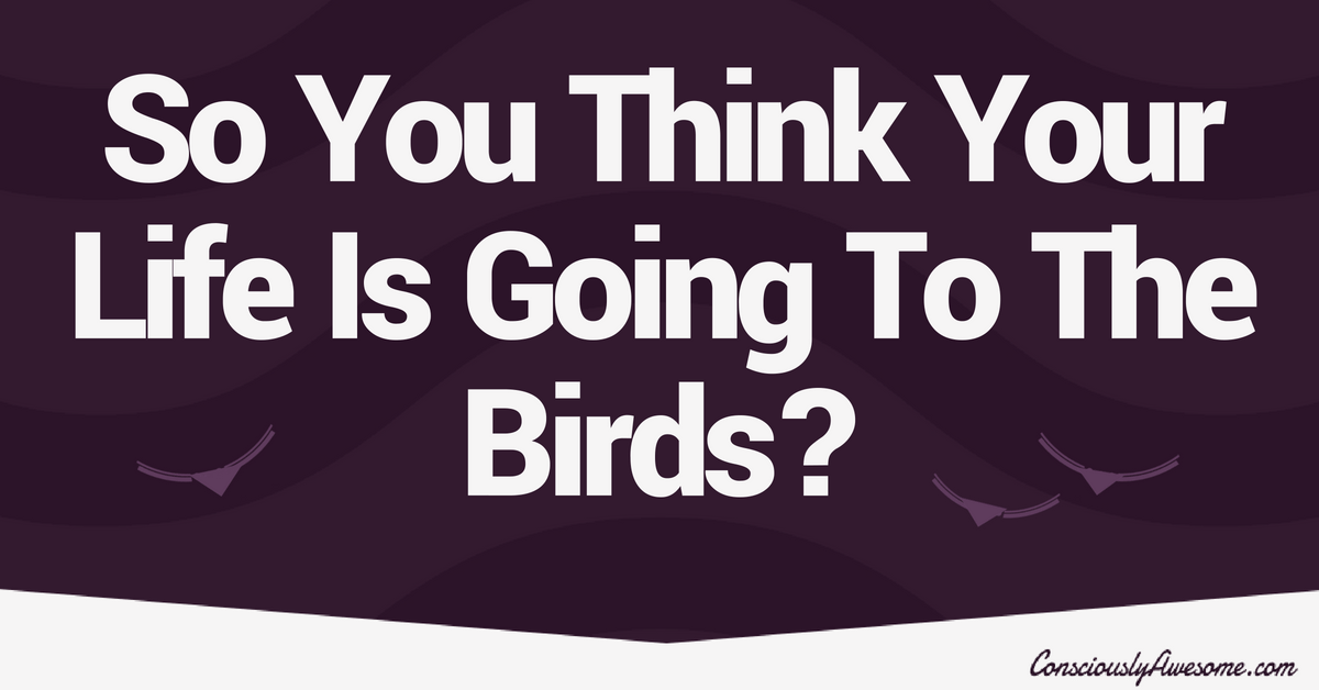 So You Think Your Life Is Going To The Birds?