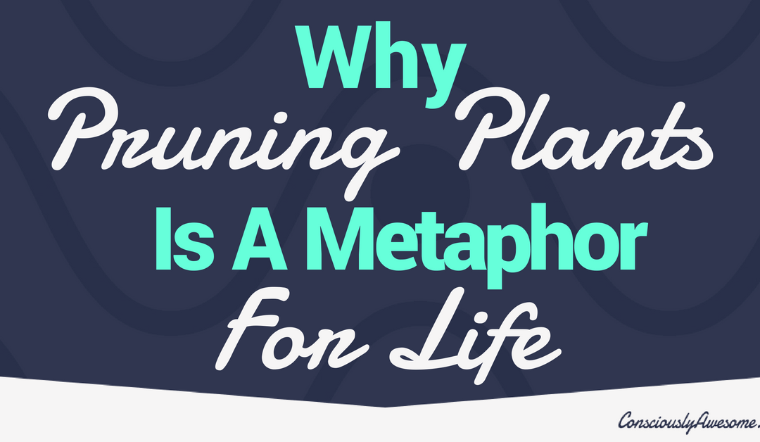 Why Pruning Plants Is A Metaphor For Life