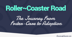 Roller Coaster Road: The J